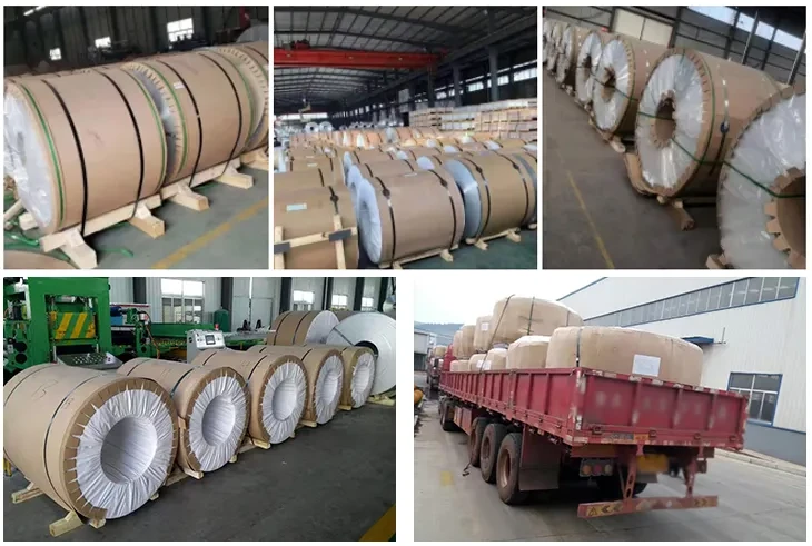 product-730-491 product-730-491